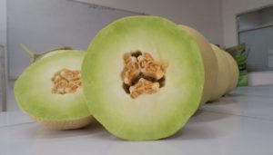 Manfaat Melon Bagi Kesehatan Tubuh