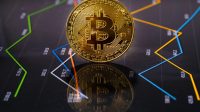 Berikut Panduan Pemula untuk Membeli Crypto Terbaru