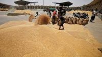 BREAKING NEWS!! UAE Suspends Indian Wheat Exports